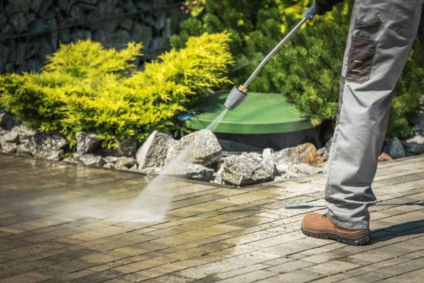 Best Animal Enclosure Cleaning  in Hastings, MI