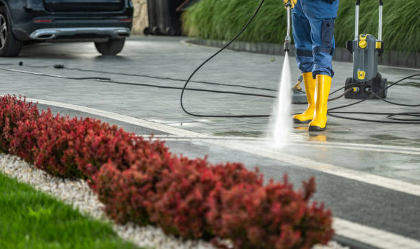 Best Fence Cleaning  in Hastings, MI